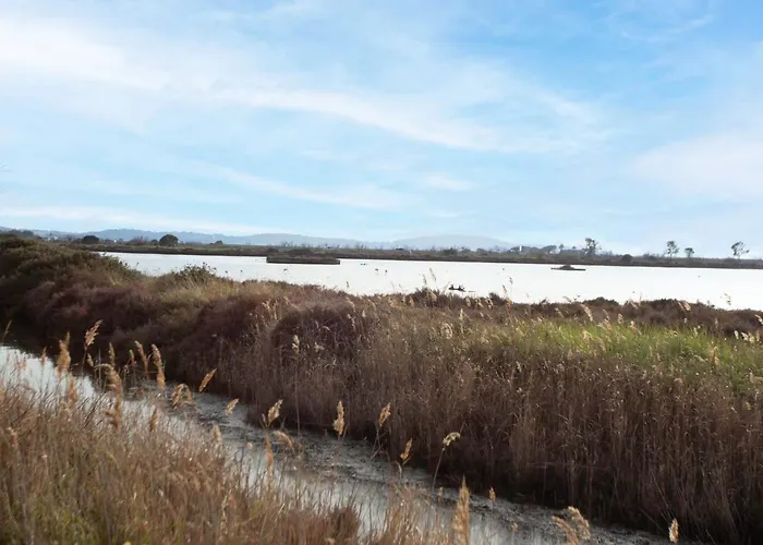 Appartement Port De La Gavine-17 By Interhome *